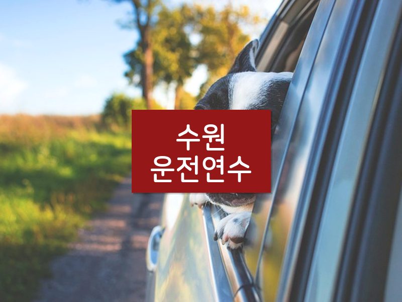 수원운전연수 후기