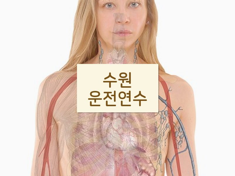 수원운전연수 후기
