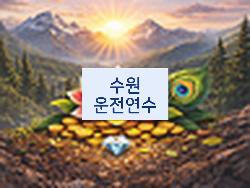 수원운전연수 후기