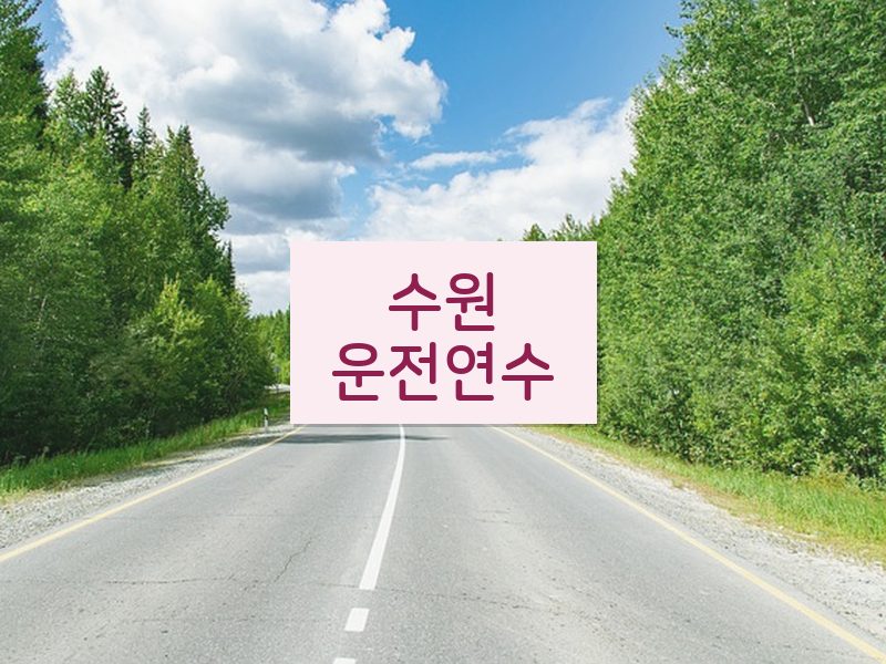 수원운전연수 후기