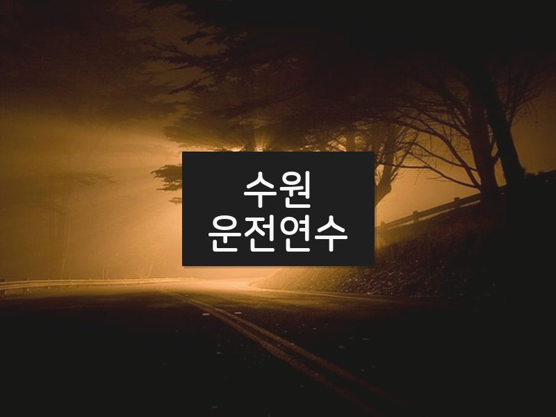 수원운전연수 후기