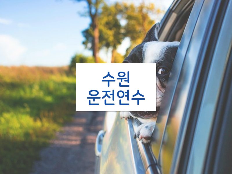 수원운전연수 후기