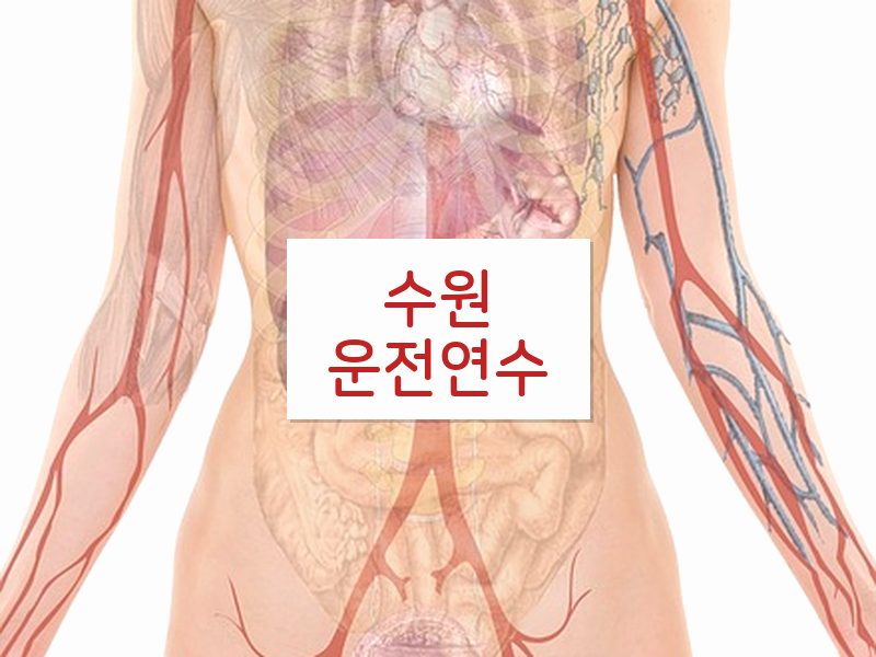 수원운전연수 후기