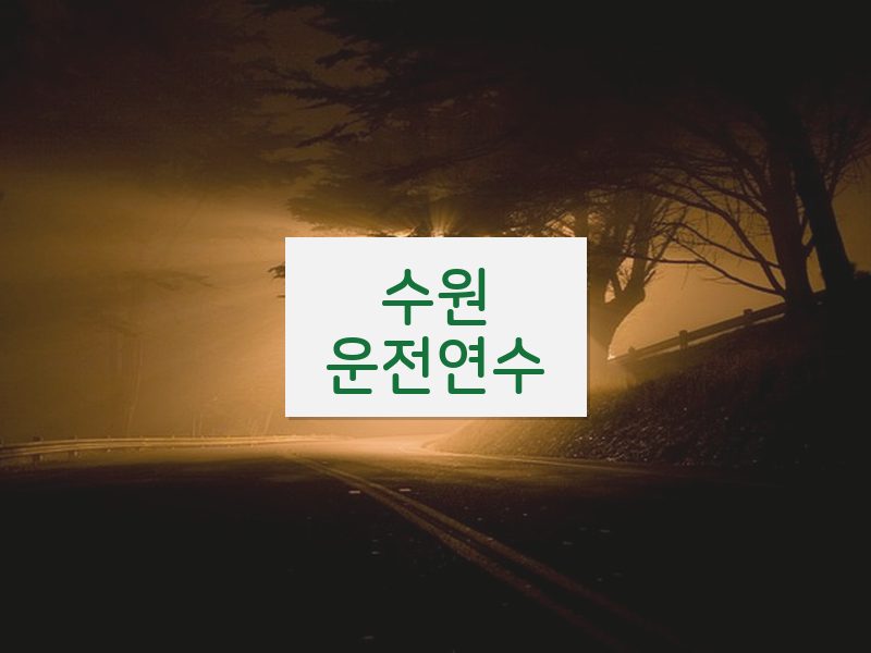 수원운전연수 후기