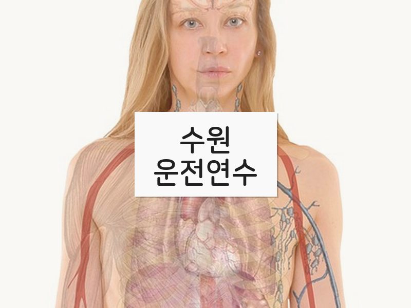 수원운전연수 후기