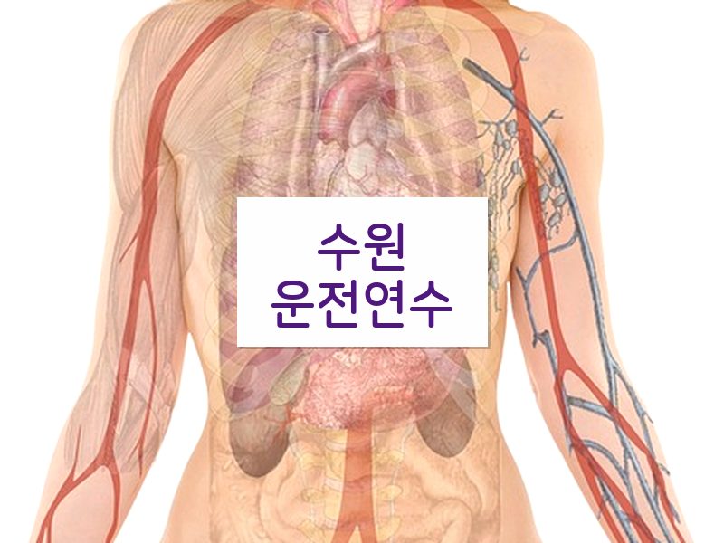 수원운전연수 후기