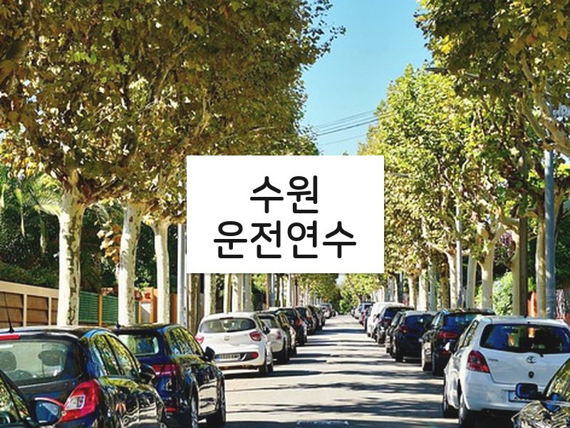 수원운전연수 후기
