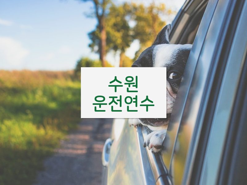 수원운전연수 후기