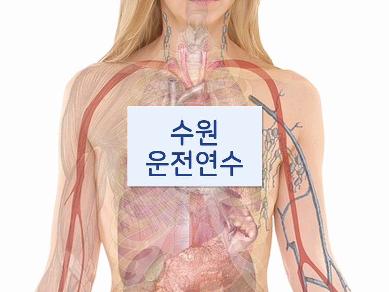 수원운전연수 후기