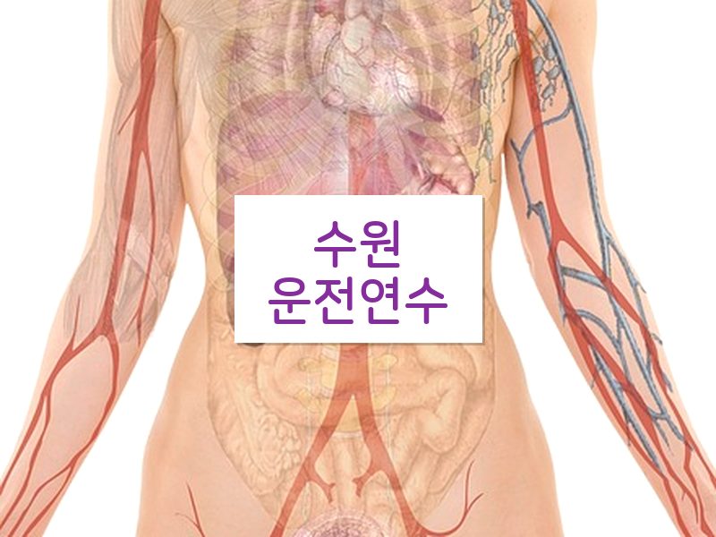 수원운전연수 후기