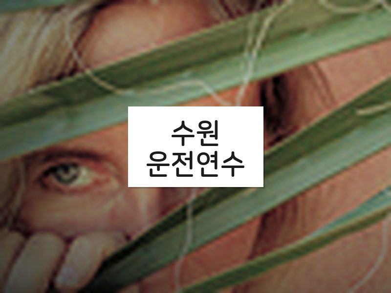 수원운전연수 후기