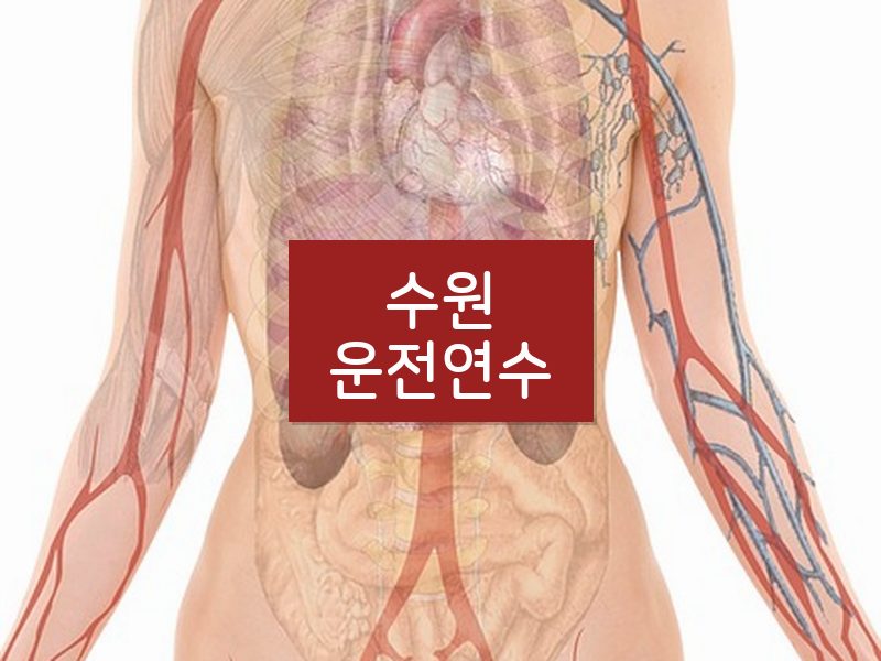 수원운전연수 후기