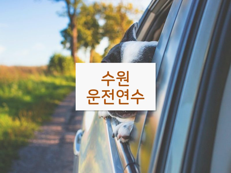 수원운전연수 후기