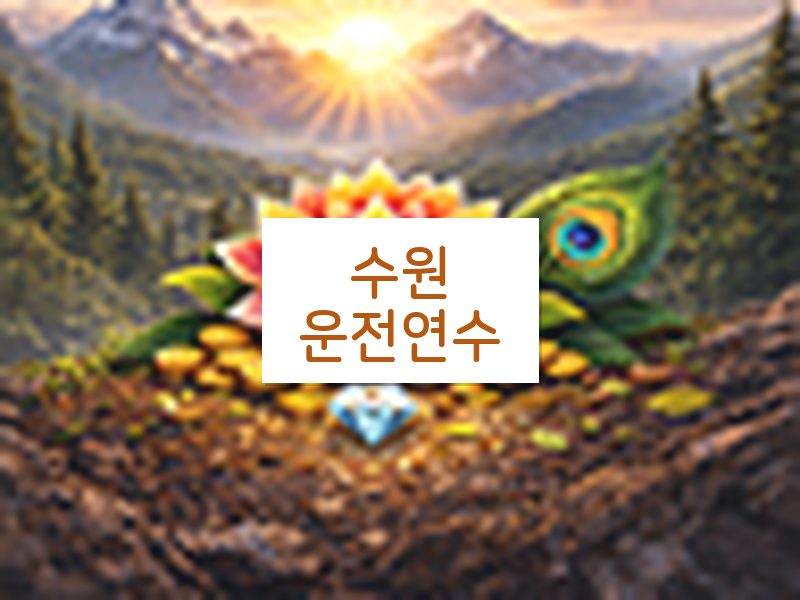 수원운전연수 후기