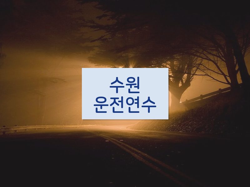 수원운전연수 후기