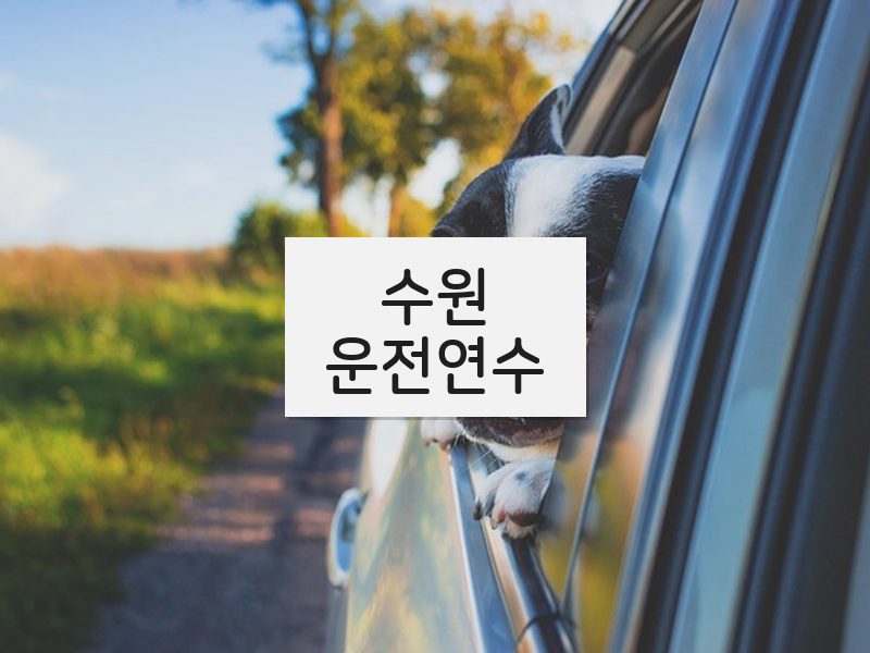 수원운전연수 후기