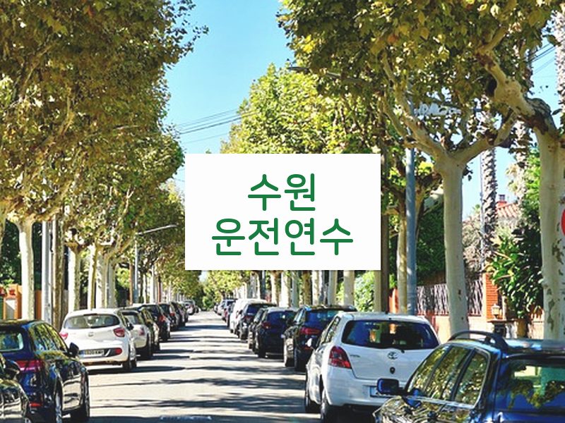 수원운전연수 후기
