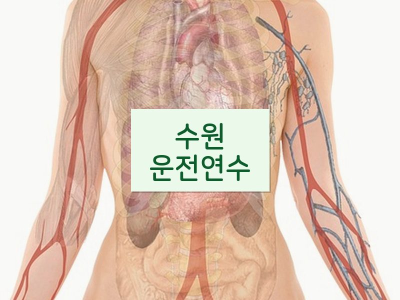 수원운전연수 후기