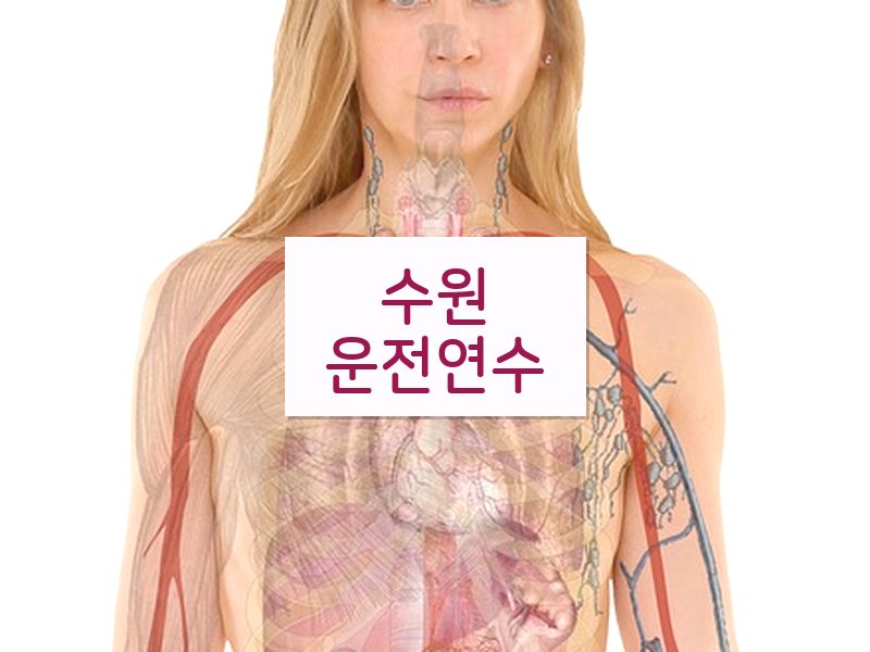 수원운전연수 후기