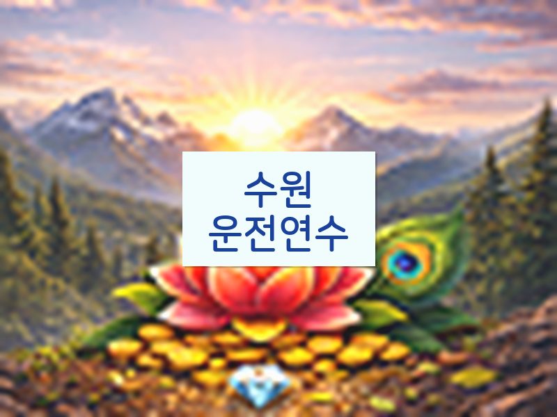 수원운전연수 후기
