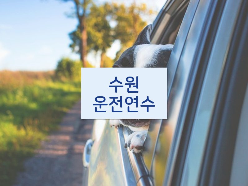 수원운전연수 후기