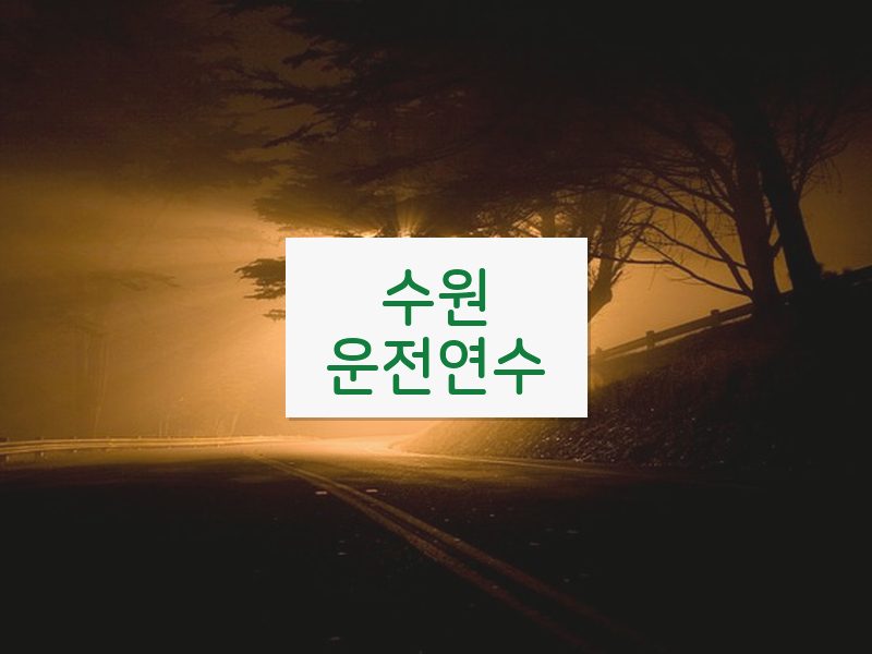 수원운전연수 후기