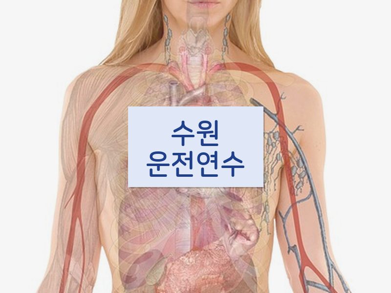 수원운전연수 후기