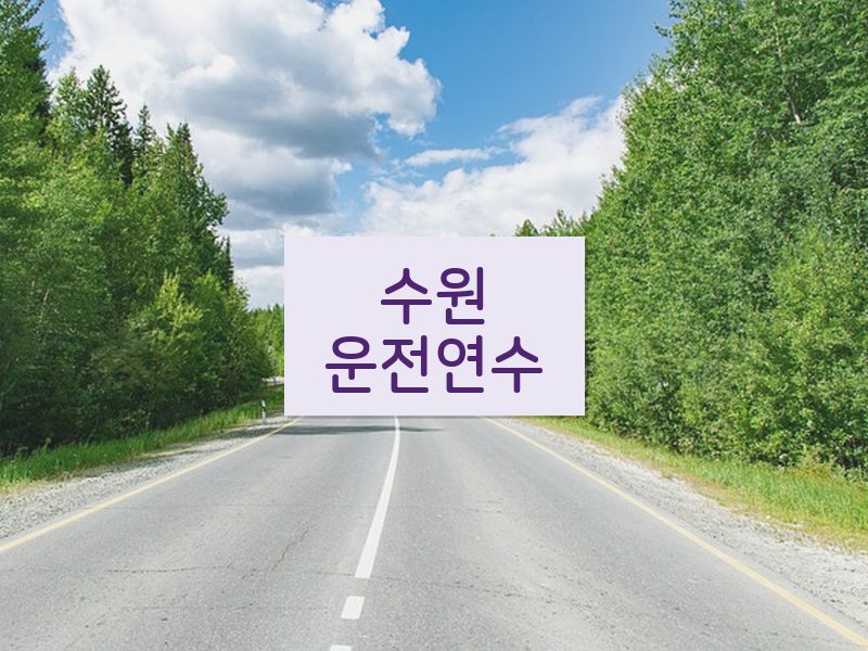 수원운전연수 후기
