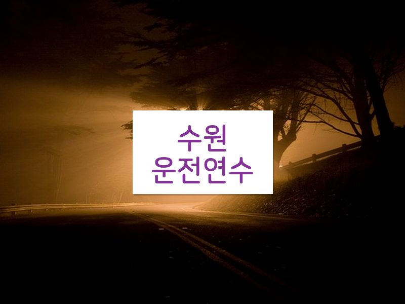 수원운전연수 후기