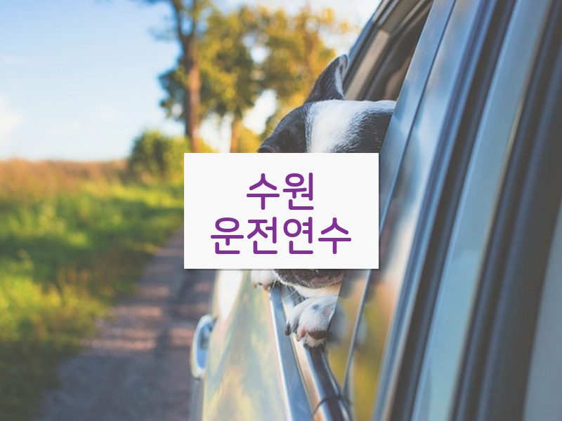 수원운전연수 후기