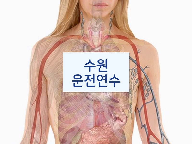 수원운전연수 후기