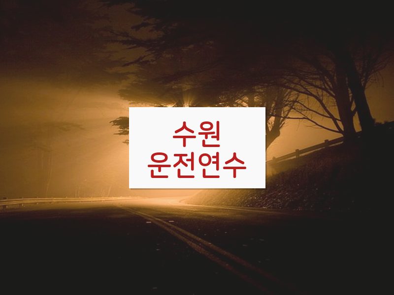수원운전연수 후기