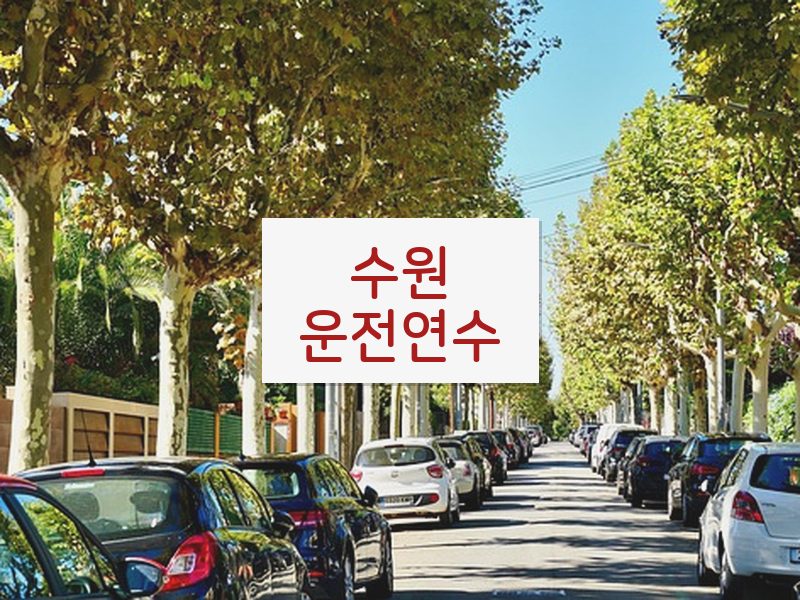 수원운전연수 후기