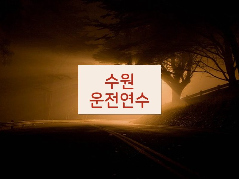 수원운전연수 후기