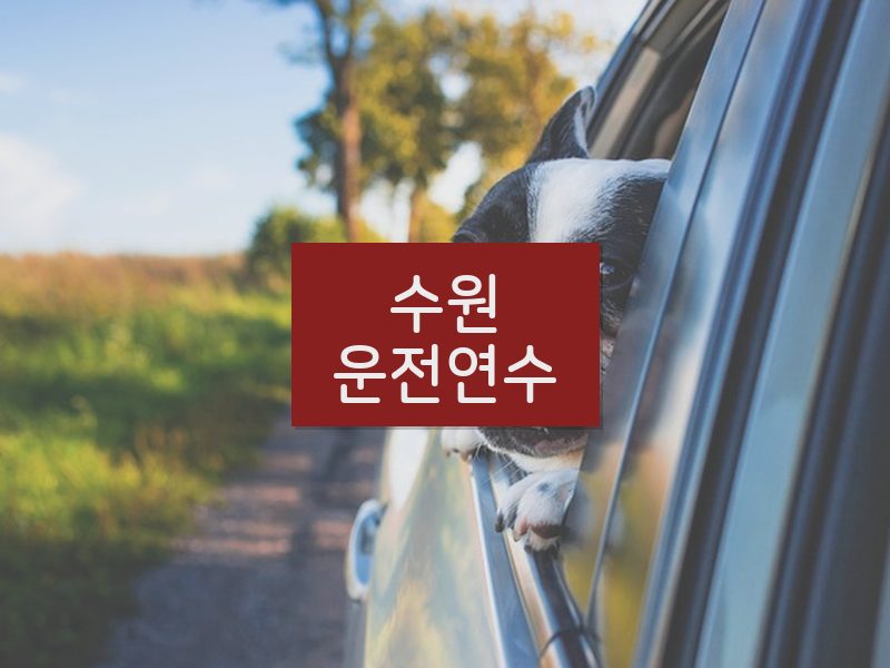수원운전연수 후기