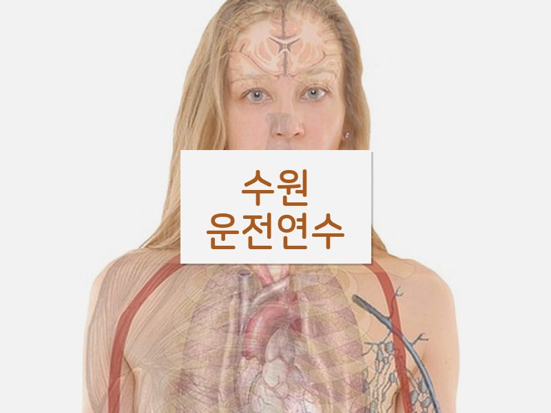 수원운전연수 후기