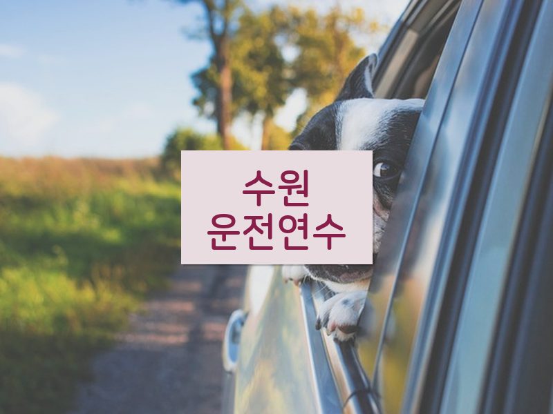 수원운전연수 후기