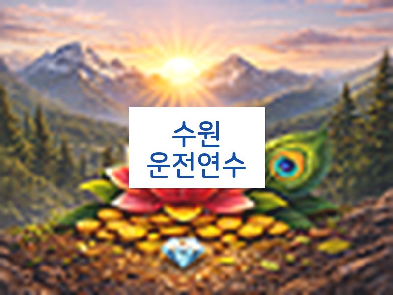 수원운전연수 후기