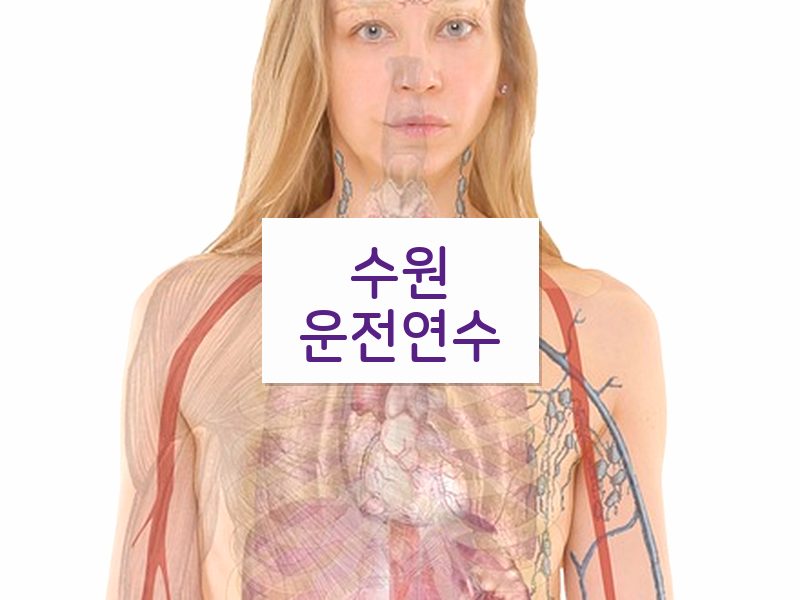 수원운전연수 후기