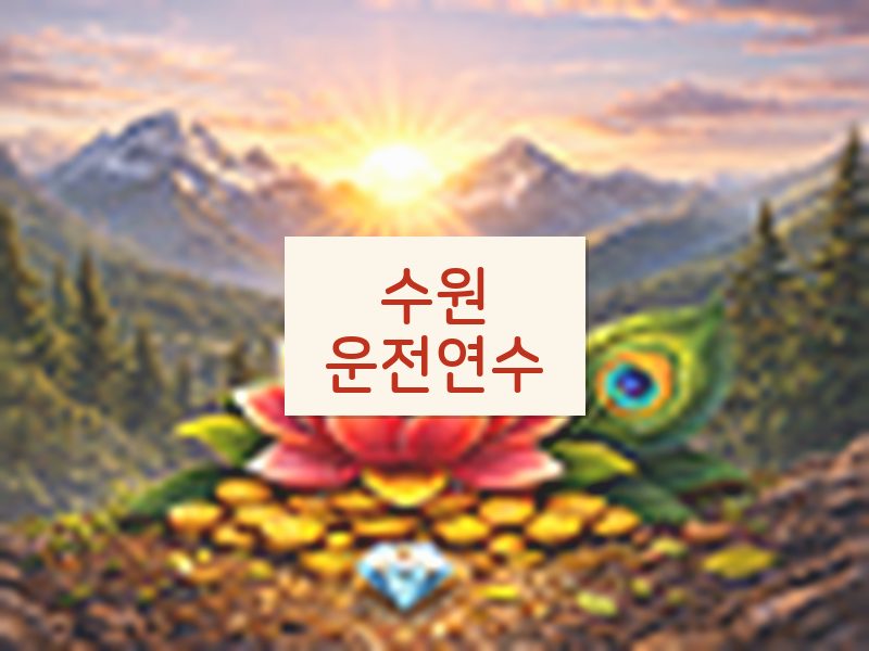 수원운전연수 후기