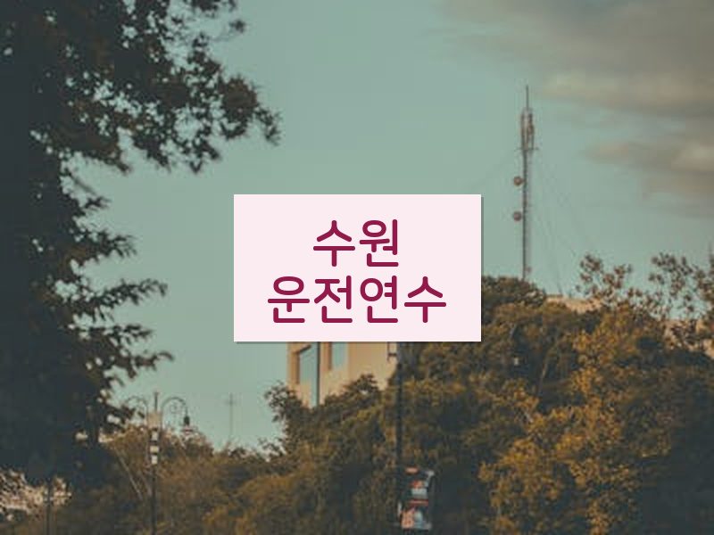 수원운전연수 후기