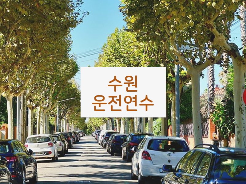 수원운전연수 후기
