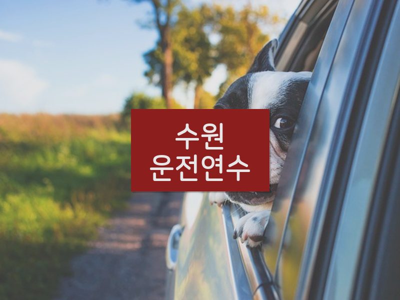수원운전연수 후기