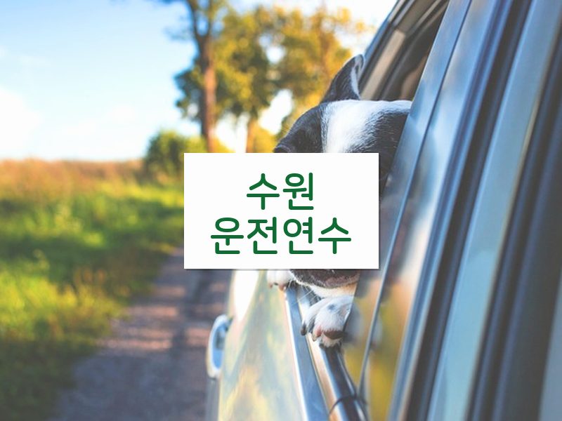 수원운전연수 후기