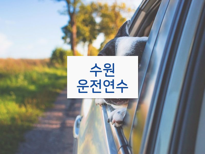 수원운전연수 후기