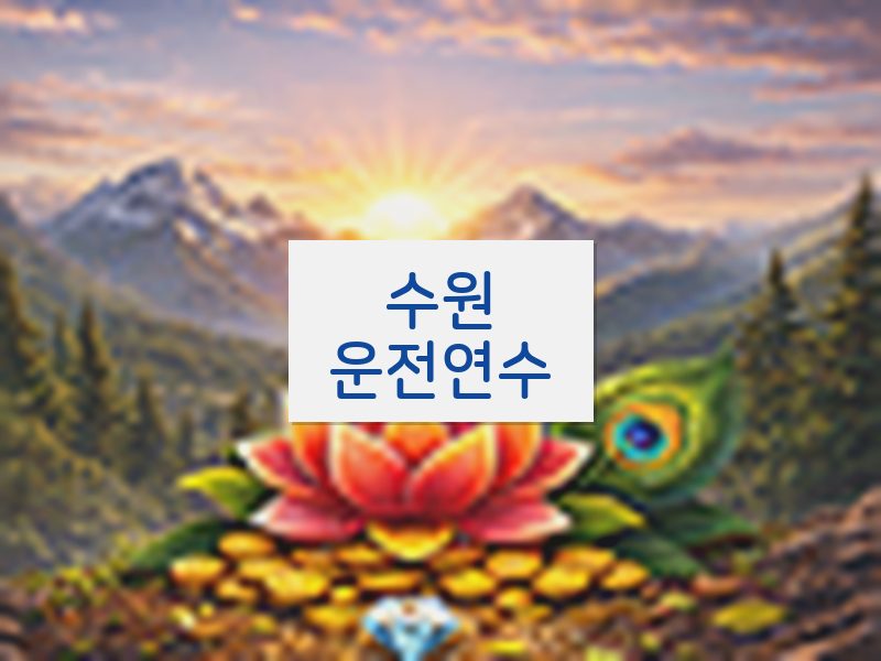 수원운전연수 후기