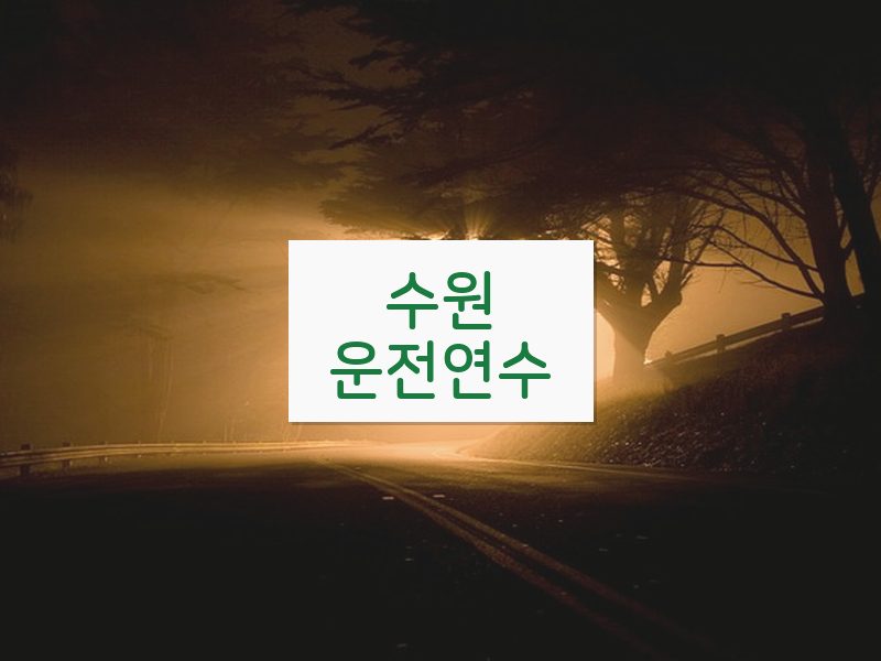 수원운전연수 후기