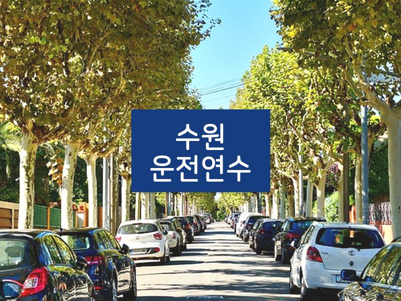 수원운전연수 후기
