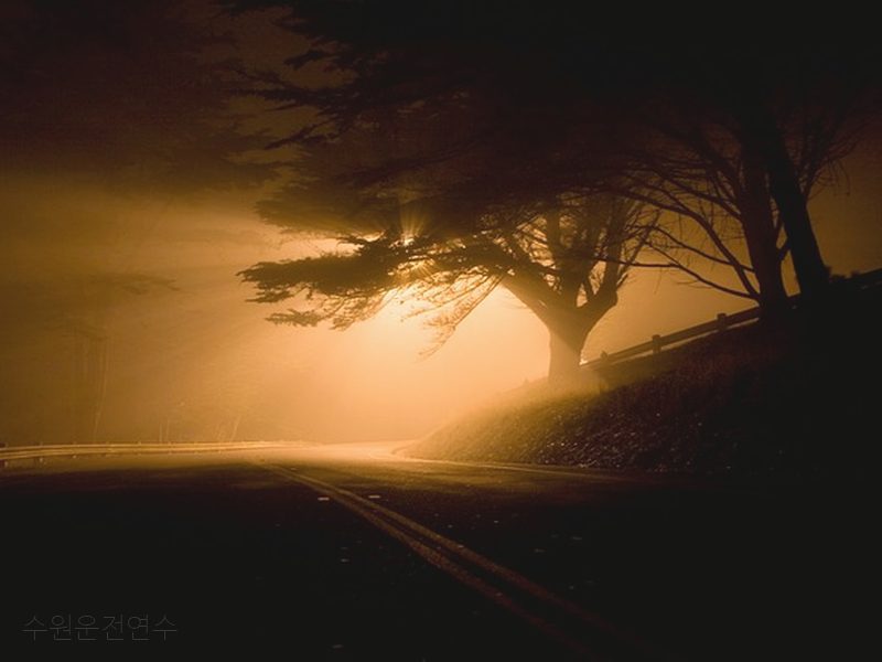 수원운전연수 후기