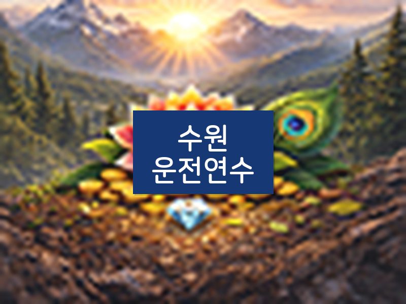 수원운전연수 후기